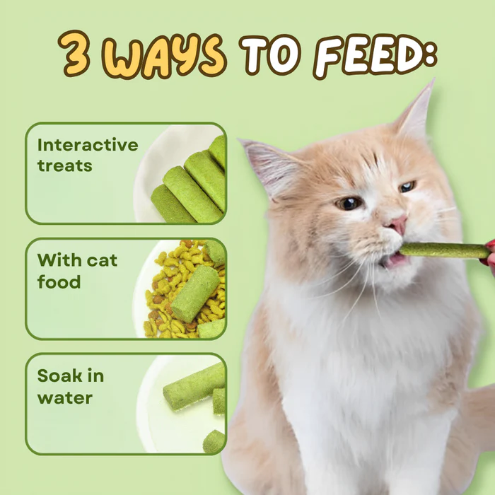 Cat Grass  Teething Sticks