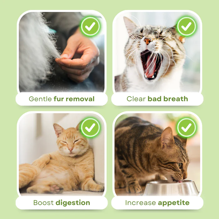 Cat Grass  Teething Sticks