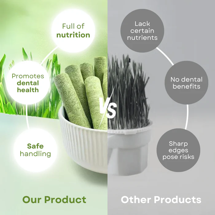 Cat Grass  Teething Sticks