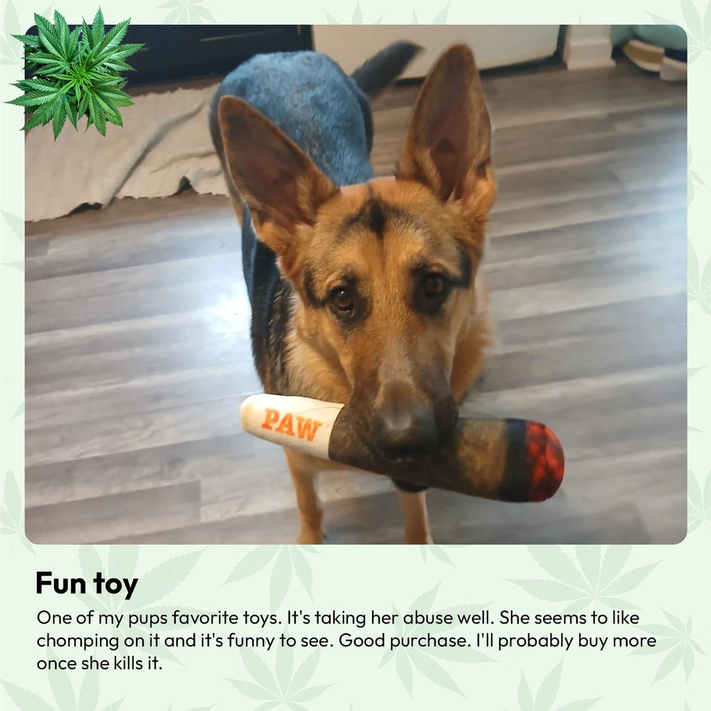 Doggie Joint Toy